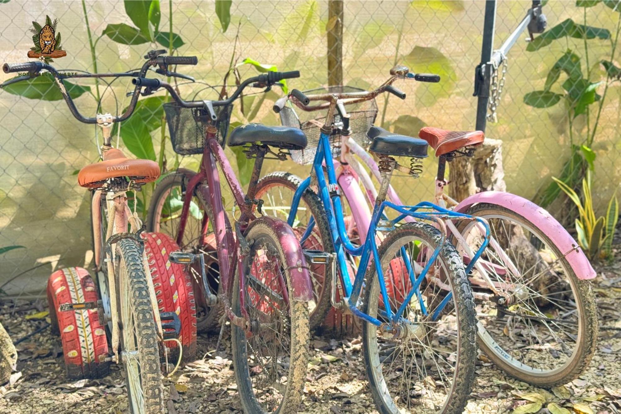 Hotel Selva Bacalar - Free Bike Rental מראה חיצוני תמונה