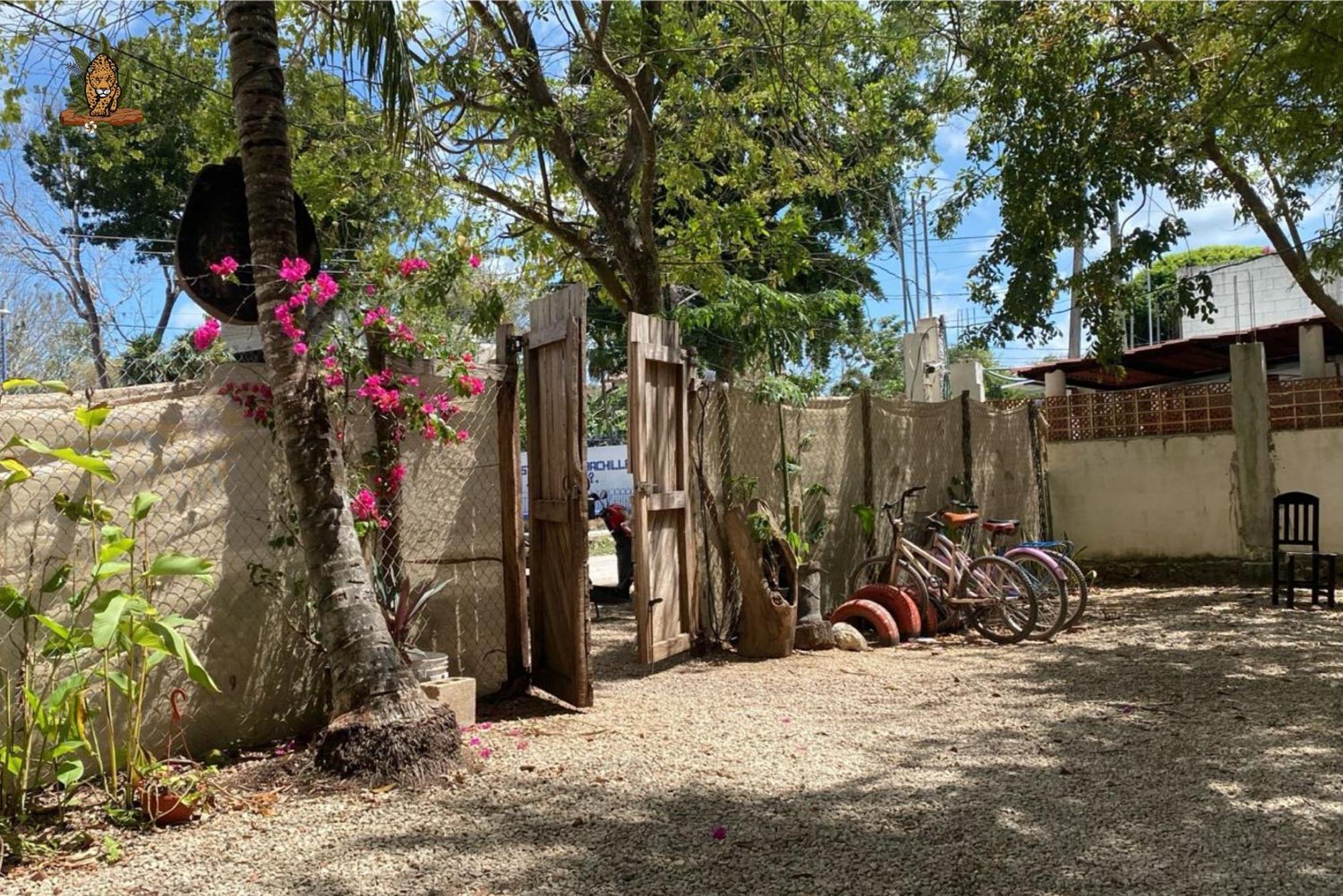 Hotel Selva Bacalar - Free Bike Rental מראה חיצוני תמונה